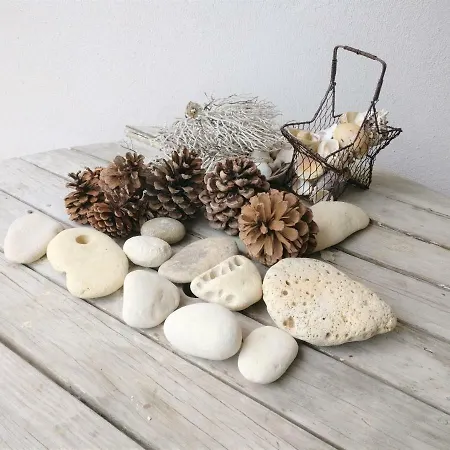 ゲストハウス Derriere La : Suite, Patio Et Pergola